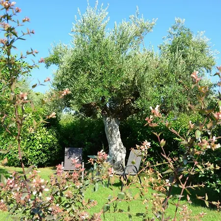Vila Costa * Agia Kiriaki (Messinia)